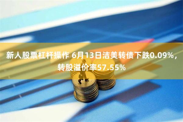 新人股票杠杆操作 6月13日洁美转债下跌0.09%，转股溢价率57.55%