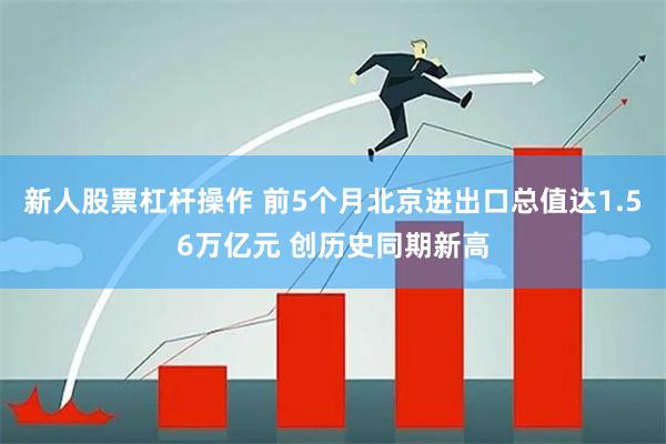 新人股票杠杆操作 前5个月北京进出口总值达1.56万亿元 创历史同期新高
