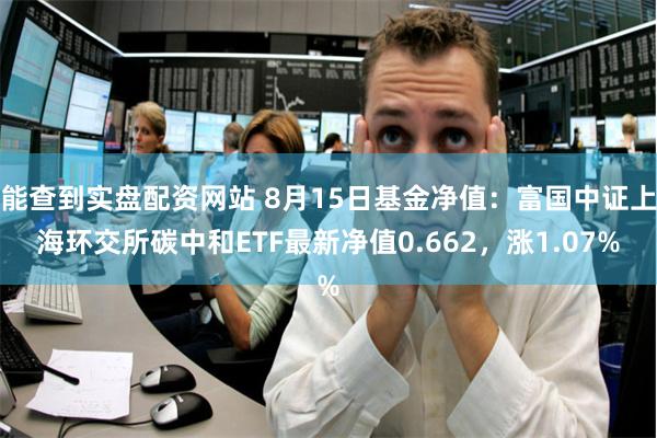 能查到实盘配资网站 8月15日基金净值：富国中证上海环交所碳中和ETF最新净值0.662，涨1.07%