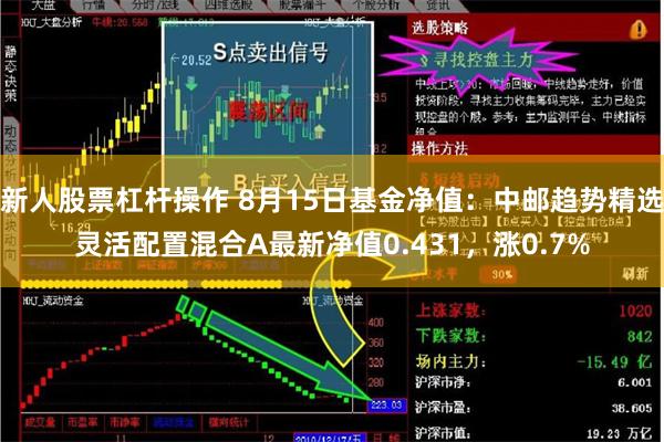 新人股票杠杆操作 8月15日基金净值：中邮趋势精选灵活配置混合A最新净值0.431，涨0.7%