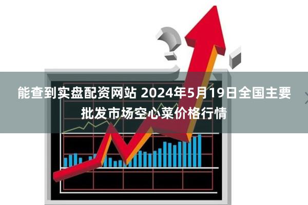 能查到实盘配资网站 2024年5月19日全国主要批发市场空心菜价格行情