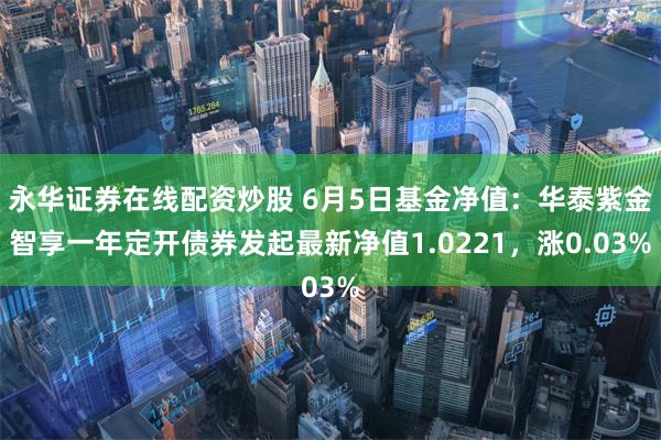 永华证券在线配资炒股 6月5日基金净值：华泰紫金智享一年定开债券发起最新净值1.0221，涨0.03%