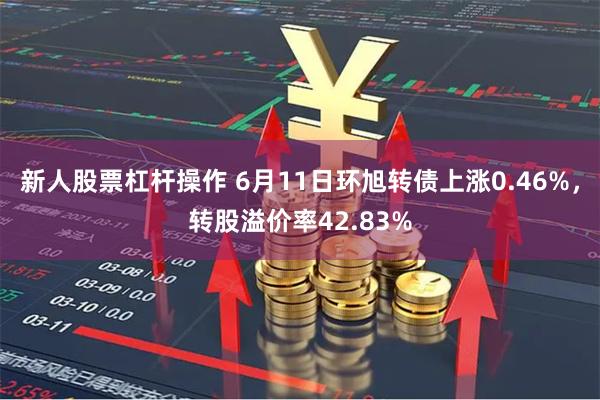 新人股票杠杆操作 6月11日环旭转债上涨0.46%，转股溢价率42.83%