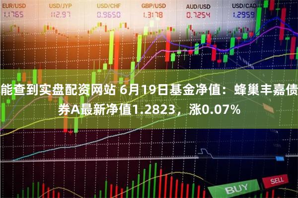 能查到实盘配资网站 6月19日基金净值：蜂巢丰嘉债券A最新净值1.2823，涨0.07%