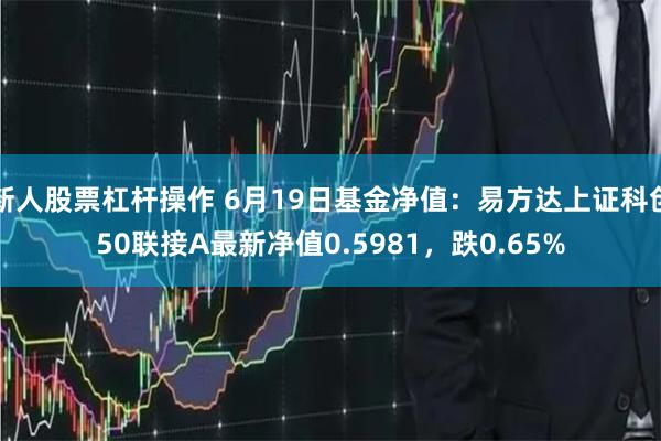 新人股票杠杆操作 6月19日基金净值：易方达上证科创50联接A最新净值0.5981，跌0.65%