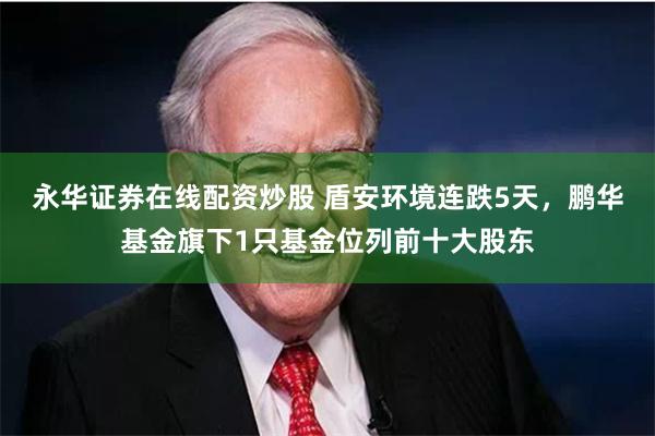 永华证券在线配资炒股 盾安环境连跌5天，鹏华基金旗下1只基金位列前十大股东