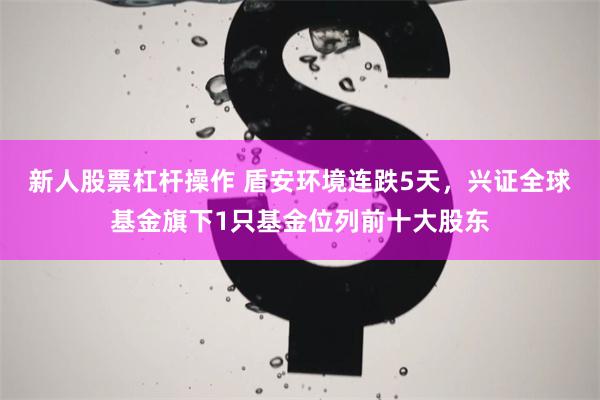 新人股票杠杆操作 盾安环境连跌5天，兴证全球基金旗下1只基金位列前十大股东