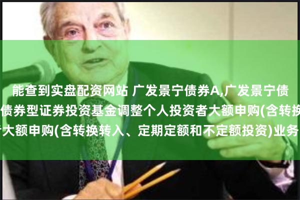 能查到实盘配资网站 广发景宁债券A,广发景宁债券C: 关于广发景宁纯债债券型证券投资基金调整个人投资者大额申购(含转换转入、定期定额和不定额投资)业务限额的公告