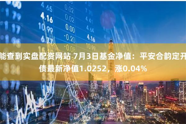 能查到实盘配资网站 7月3日基金净值：平安合韵定开债最新净值1.0252，涨0.04%