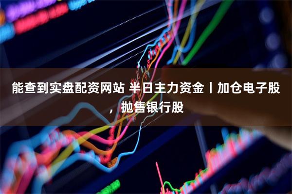 能查到实盘配资网站 半日主力资金丨加仓电子股，抛售银行股