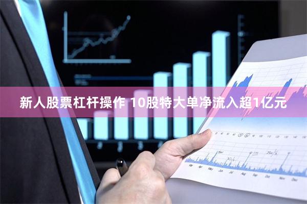 新人股票杠杆操作 10股特大单净流入超1亿元