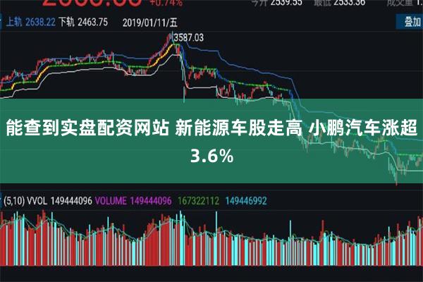 能查到实盘配资网站 新能源车股走高 小鹏汽车涨超3.6%