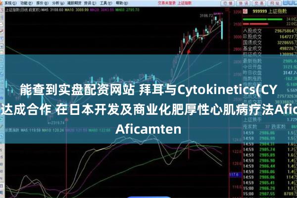 能查到实盘配资网站 拜耳与Cytokinetics(CYTK.US)达成合作 在日本开发及商业化肥厚性心肌病疗法Aficamten