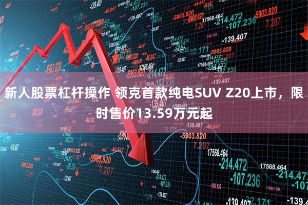 新人股票杠杆操作 领克首款纯电SUV Z20上市，限时售价13.59万元起