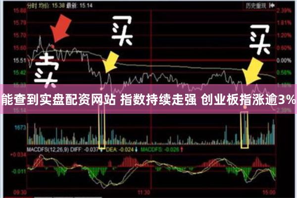 能查到实盘配资网站 指数持续走强 创业板指涨逾3%
